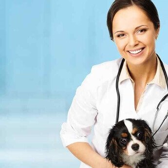 Dermatologia