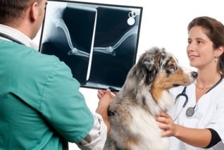 Radiologia