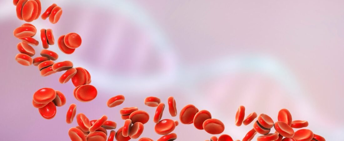 Hematologia veterinária: a importância dos exames de sangue na saúde do seu pet