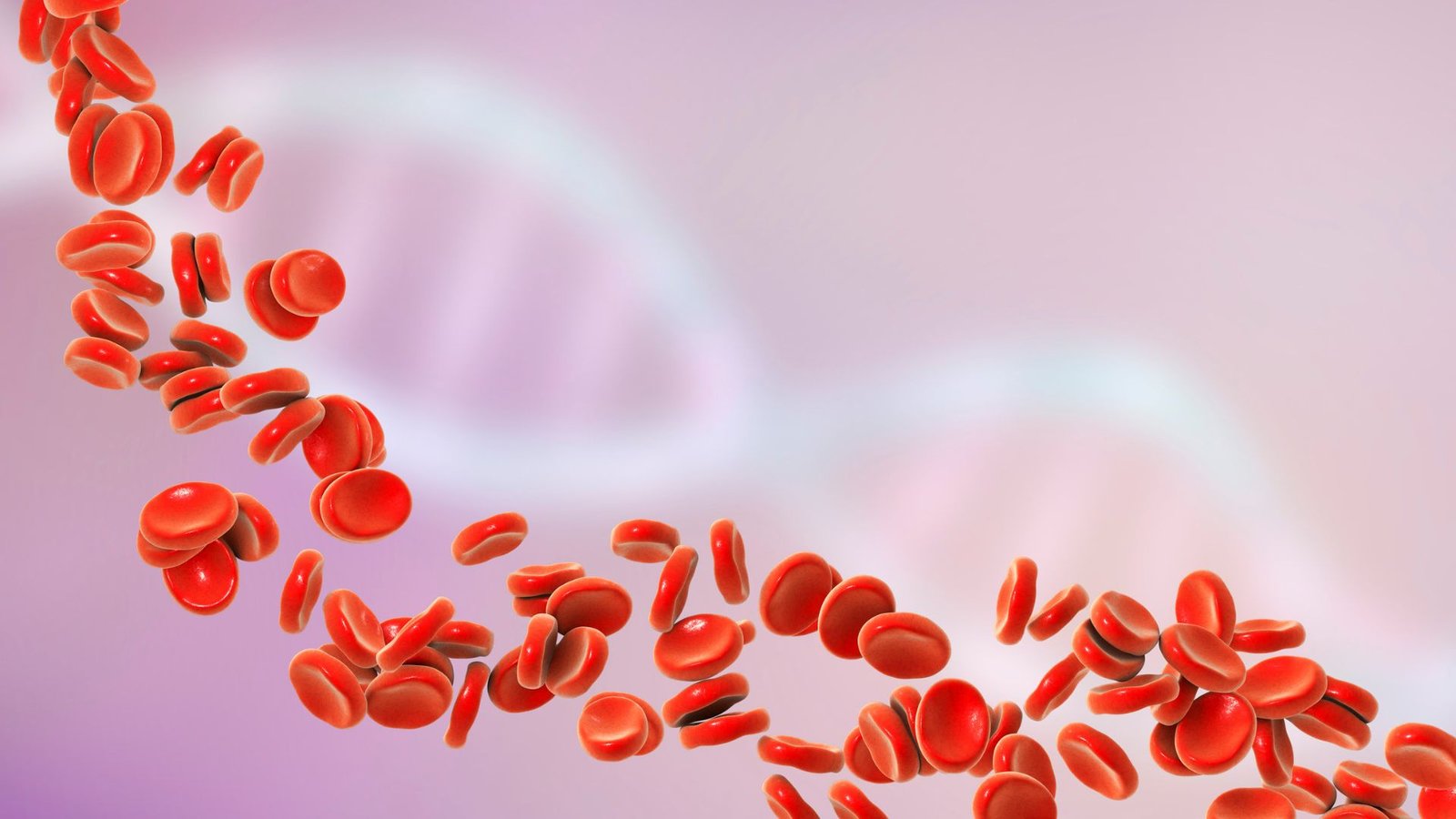 Hematologia veterinária: a importância dos exames de sangue na saúde do seu pet