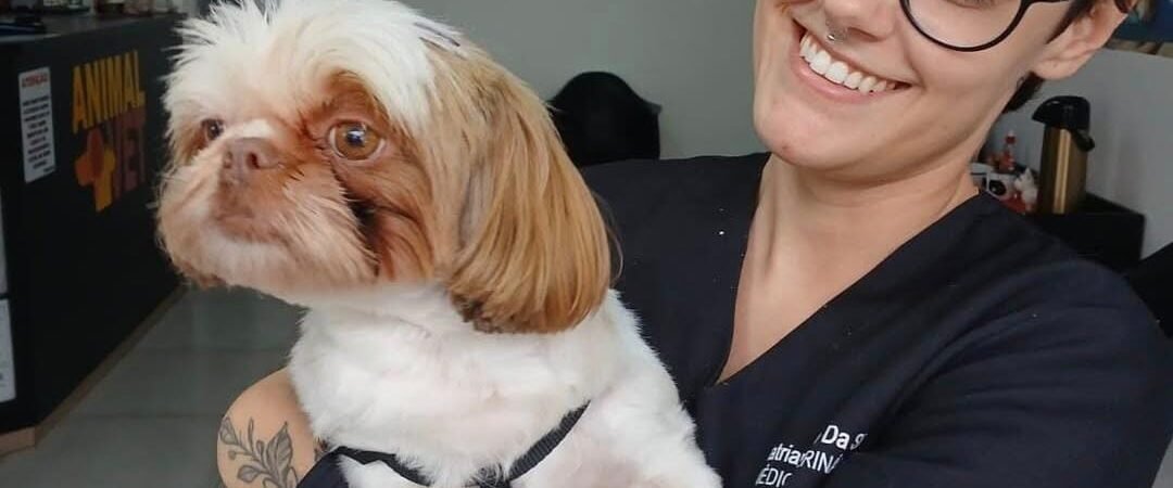 Alergia em cães e gatos: como identificar e cuidar do seu pet?