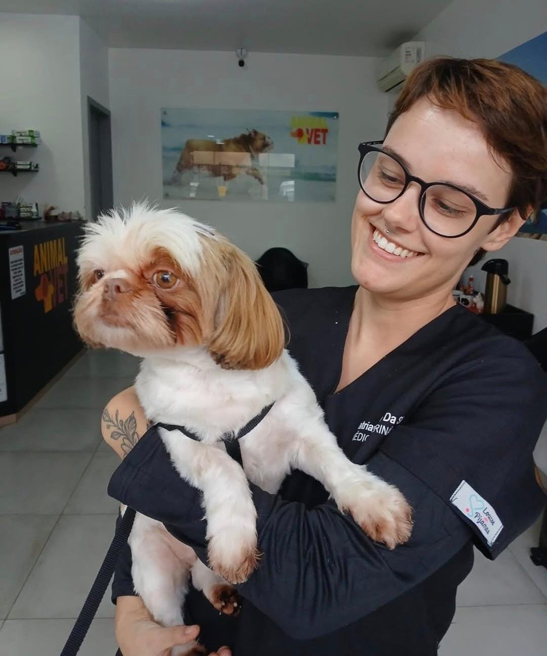 Alergia em cães e gatos: como identificar e cuidar do seu pet?