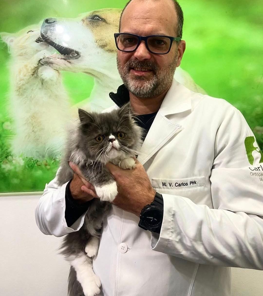 Exames veterinários: a importância do diagnóstico precoce para a saúde do seu pet