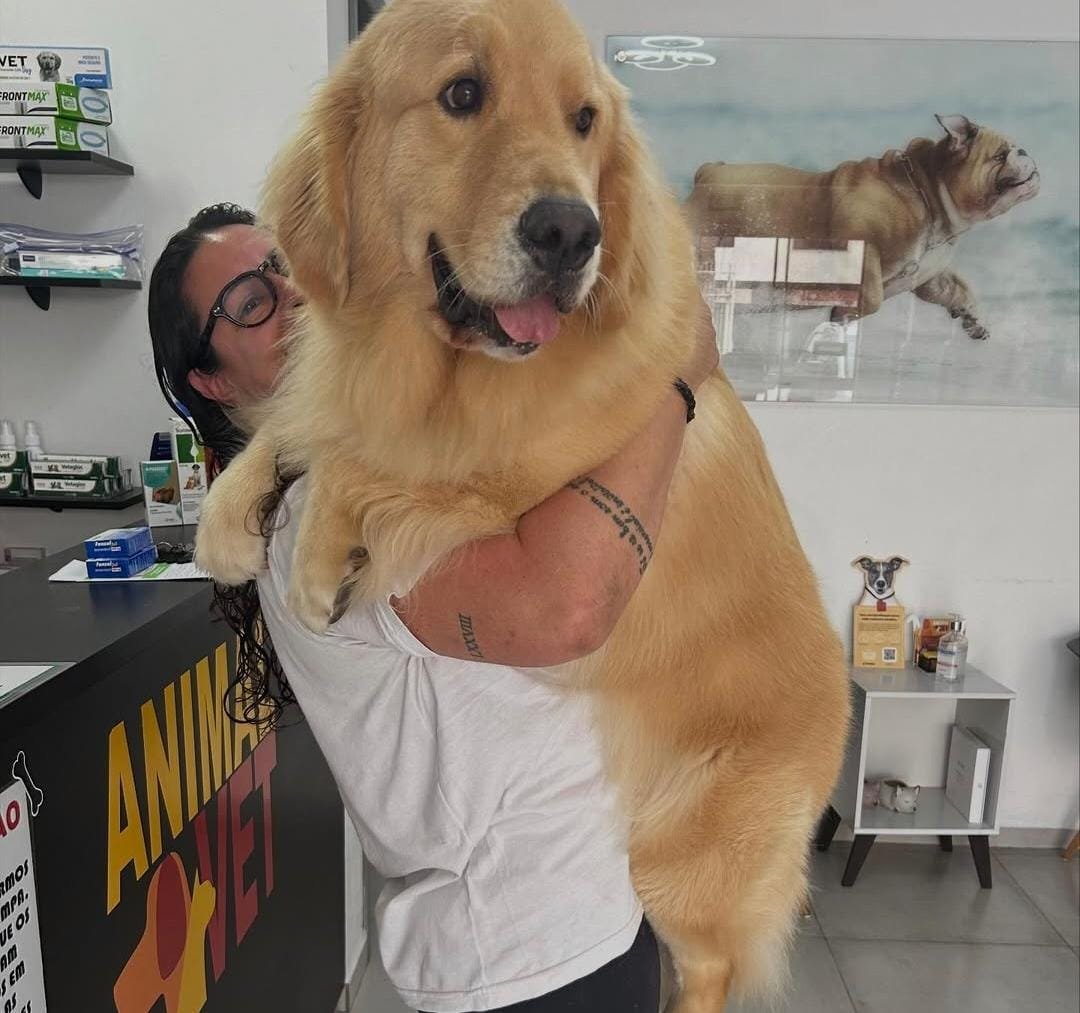Diferença entre clínica geral e especialista veterinário: quando procurar cada um?