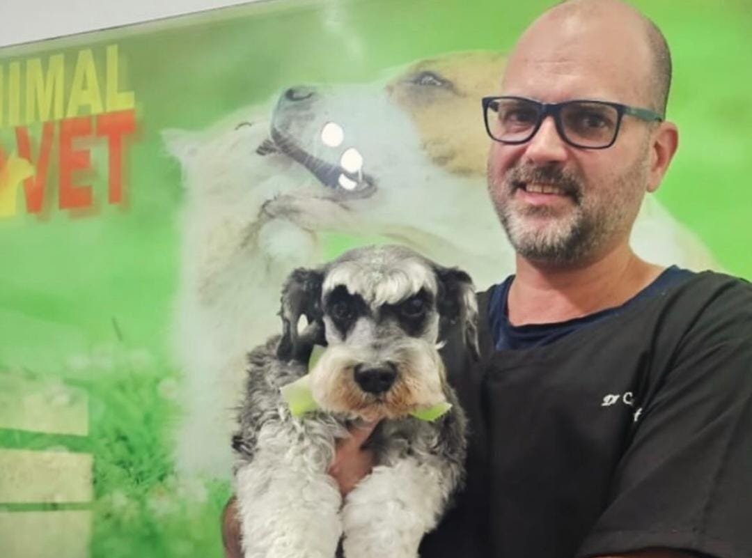 Cuidados especiais com pets idosos: como garantir mais saúde e qualidade de vida?