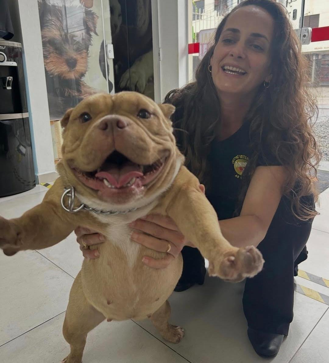 Como escovar os dentes do cachorro: passo a passo para manter a saúde bucal