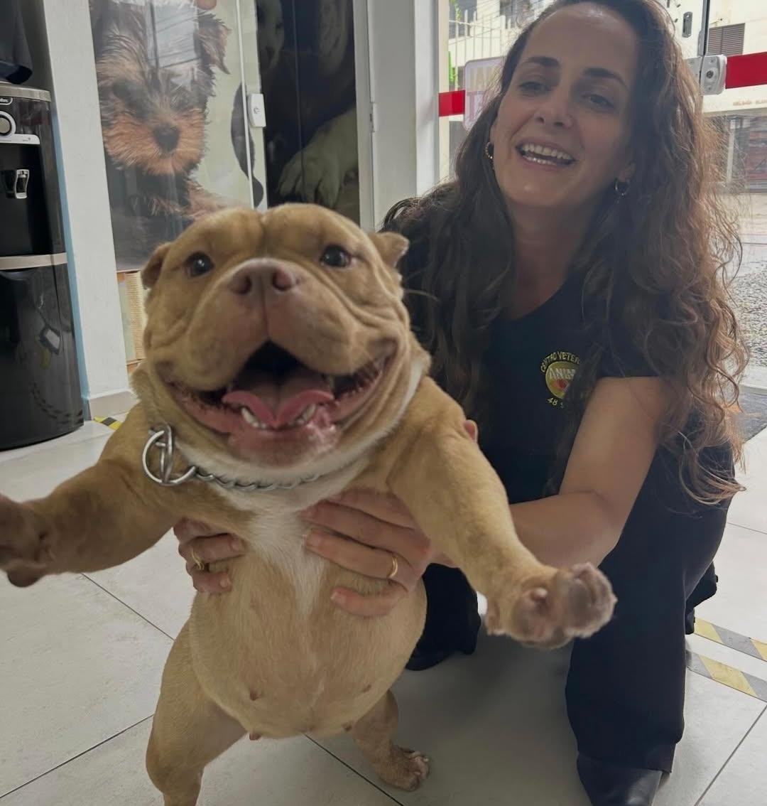 Ozonioterapia em pets: benefícios e aplicações na medicina veterinária