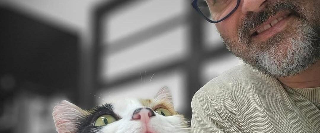 Check-up felino: por que e com que frequência fazer?