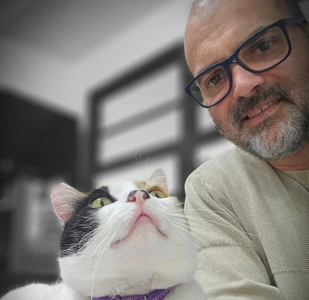 Check-up felino: por que e com que frequência fazer?